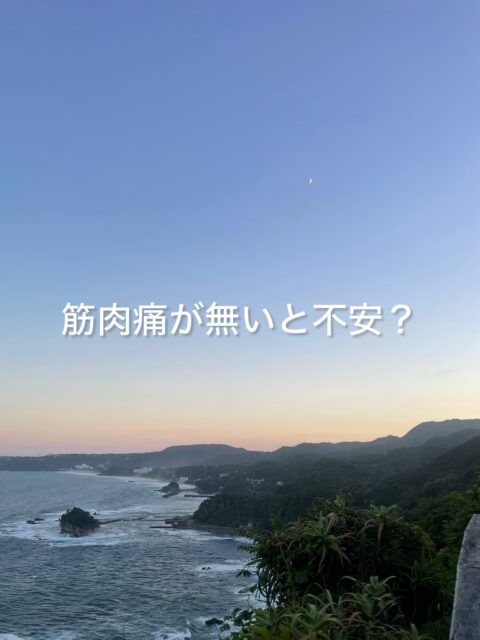 筋肉痛が無いと不安？
これが分かるのはトレーニーの方々ですね😊

私自身も冗談半分、本気半分で思ってた時代もありました

トレーニングをしていると、筋肉痛があることで「効いた」と感じる方も多いと思います。

しかし、強い筋肉痛があることと、良いトレーニングができたことは同じではありません。

慣れていない動きや強い負荷のあと、数時間から数日遅れて出る筋肉痛を遅発性筋肉痛とも言います。

特に、久しぶりの運動、強度を上げた運動、下り坂やジャンプのような筋肉が伸ばされながら力を出す運動のあとに起こりやすいとされています。

大切なのは、痛みを求めることではなく、無理なく継続することですよね。

THE DOCKでは『追い込む』だけでなく、筋肉痛や疲労がある日には、身体を軽く戻す”リカバリー”の時間も大切にしたいと考えています。