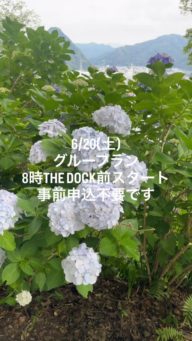 あじさいグループランも今月残り2回です
6/20(土)は朝8時にTHE DOCK前をスタート🏃‍➡️
申込不要
途中合流解散も自由です