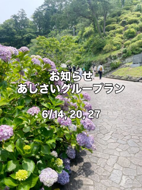 【あじさいラン】のお知らせ

下田公園はあじさいが見頃！
6月1日から30日までの、あじさい祭期間
グループランを実施しています

公園までの往復ランがメイン
公園内は軽いハイキングとなります
あじさいを愛でながら走りましょう！

出発解散場所：THE DOCK Recovery Studio 
着替えや前後のストレッチにご利用いただけます
途中合流、離脱OK！
参加費：無料、事前申込不要

日時：6/14(日) 8:00〜
20(土) 8:00〜
27(土) 7:00〜

悪天候時は中止☂️

こちらのアカウント、ストーリーでお知らせします📢